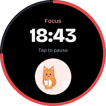 The focus timer